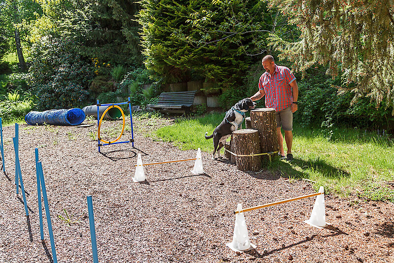 Urlaub mit Hund im Bayerischen Wald